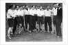 Fulham FC by Ted Heanley