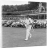 County Championship 1967. Kent v. Warwickshire by Court