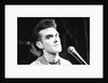 Morrissey by Harry Prosser