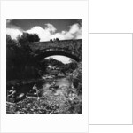 Cenarth Bridge by Staff