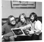 The Goodies by David Johnson