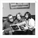 The Goodies by David Johnson