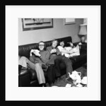 The Goodies by David Johnson