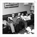 The Goodies by David Johnson