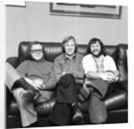 The Goodies by David Johnson