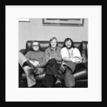 The Goodies by David Johnson