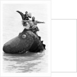 The Goodies by Dick Williams