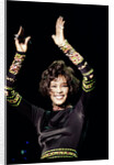 Whitney Houston by Chris Grieve