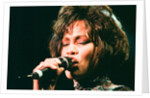 Whitney Houston by Chris Grieve