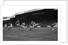 Bobby Charlton 1967 by Alfred Markey