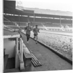 George Best 1968 by Ernest Chapman