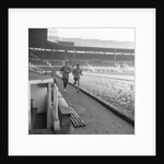 George Best 1968 by Ernest Chapman