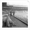 George Best 1968 by Ernest Chapman