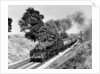 Steam Trains by Birmingham Post and Mail Archive