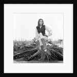 Diana Rigg by Victor Crawshaw