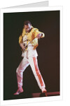 Freddie Mercury 1989 by Nigel Wright