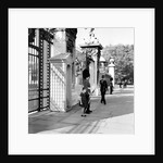 Grenadier Guardsman at Buckingham Palace by George Greenwell