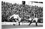 Tottenham Hotspur v Hull City by Mike Maloney