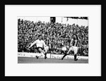 Tottenham Hotspur v Hull City by Mike Maloney