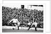 Tottenham Hotspur v Hull City by Mike Maloney