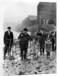 Planting of the Penny Hedge by Staff