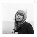 Marianne Faithfull by Terry Mealy