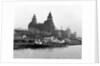 View of Liverpool 1954 by Bela Zola