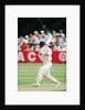 Cricket 1992 by Paul France