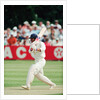 Cricket 1992 by Paul France