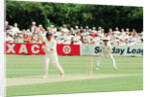 Cricket 1992 by Paul France