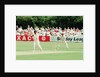Cricket 1992 by Paul France