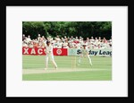 Cricket 1992 by Paul France