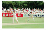 Cricket 1992 by Paul France