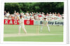 Cricket 1992 by Paul France