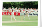 Cricket 1992 by Paul France