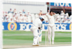 Cricket 1992 by Howard Walker
