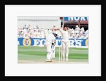 Cricket 1992 by Howard Walker