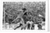 Coventry City v Nottingham Forest at Highfield Road 22nd April 1978Coventry City v Nottingham Forest at Highfield Road 22nd April 1978 by Fresco Olley
