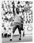 Brazil vs Czechoslovakia 1970 World Cup Group C by Fresco Olley