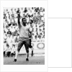 Brazil vs Czechoslovakia 1970 World Cup Group C by Fresco Olley