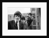 Hermans Hermits by Cyril Maitland