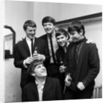 The Animals by Maurice Tibbles