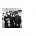 The Animals by Maurice Tibbles