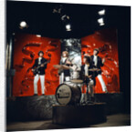 The Troggs by Roper