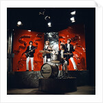 The Troggs by Roper