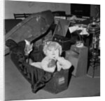 Toyah Willcox by Staff