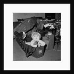 Toyah Willcox by Staff