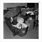 Toyah Willcox by Staff