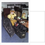 Toyah Wilcox, 1979 by Staff