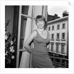 Shirley MacLaine by Bela Zola